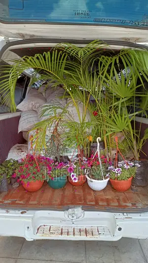Professional Landscaping Services in Kenya