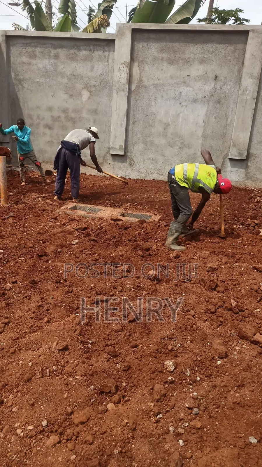 Professional Landscaping Services in Kenya