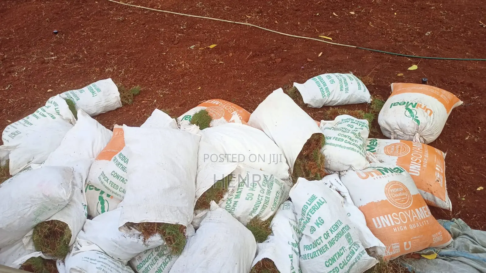 Professional Landscaping Services in Kenya