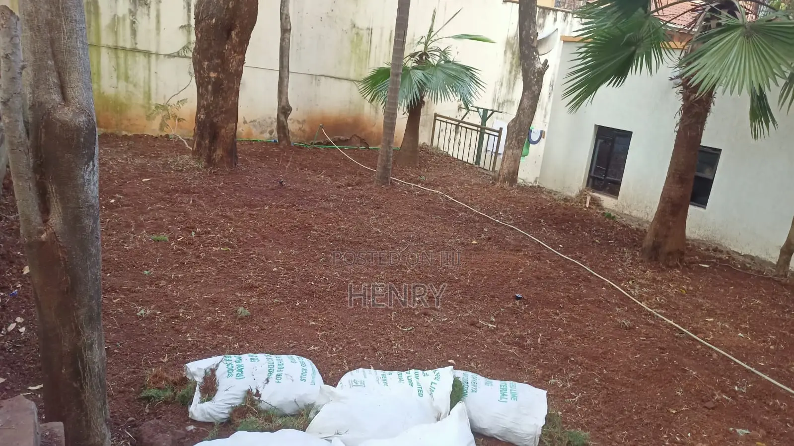 Professional Landscaping Services in Kenya