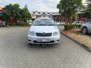 Toyota Corolla Fielder 2006 Silver