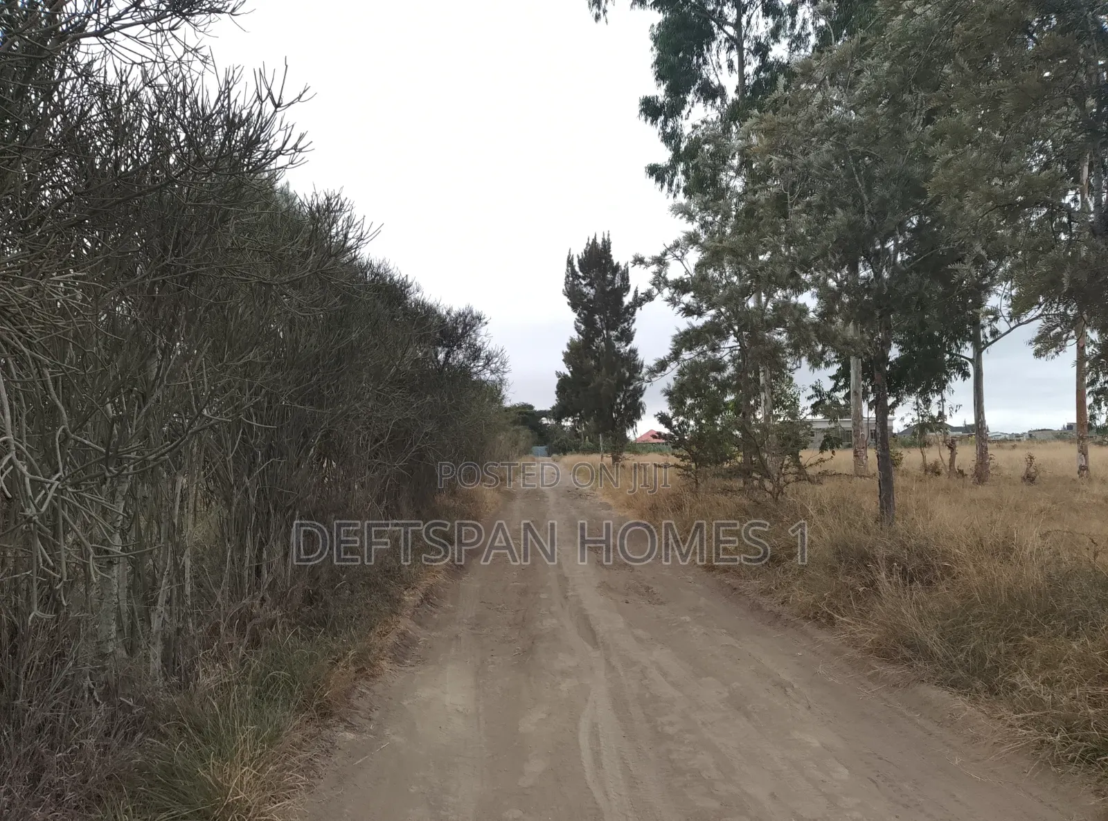 1acre Land Selling at Kantafu