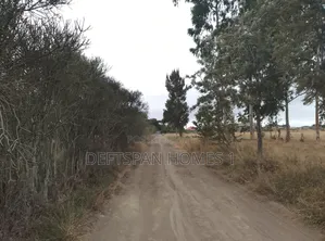 1acre Land Selling at Kantafu