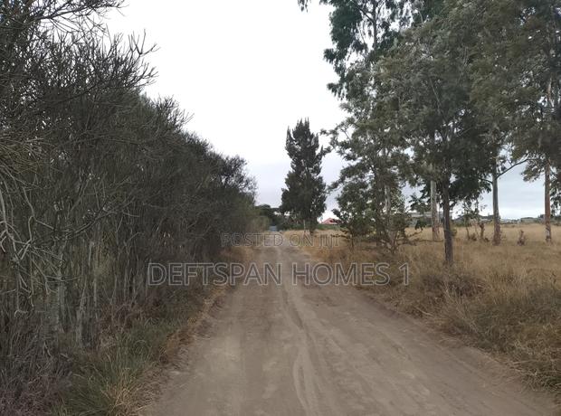 1acre Land Selling at Kantafu - thumbnail 2