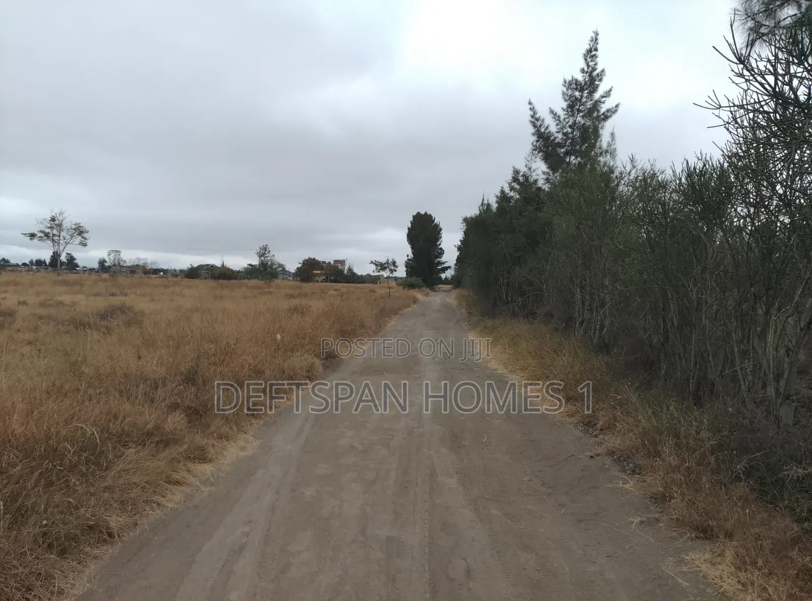 1acre Land Selling at Kantafu