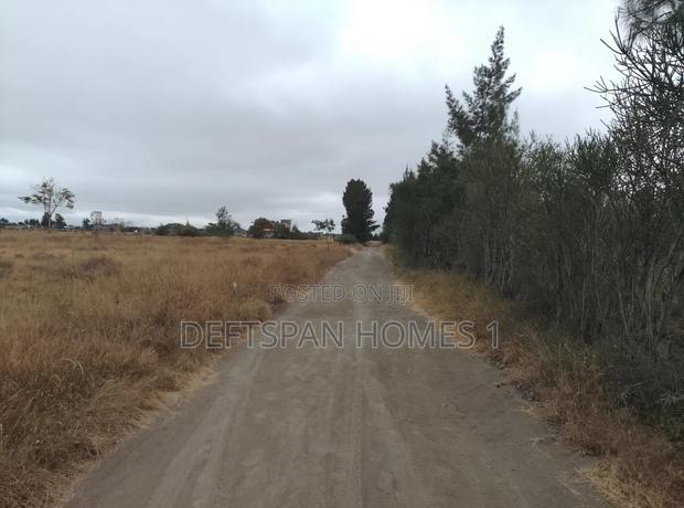 1acre Land Selling at Kantafu - thumbnail 3