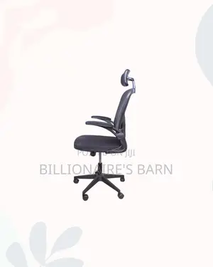 Grey Ergonomic Office Chair With Headrest for Reception and Guest Use