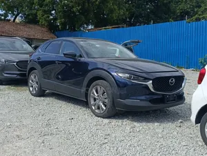 Mazda CX-30 2019 Blue