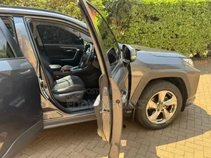 Toyota RAV4 Limited AWD 2019 Gray