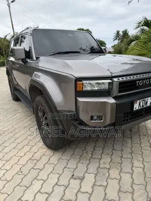 New Toyota Land Cruiser LC250 2024 Gray