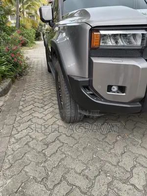 New Toyota Land Cruiser LC250 2024 Gray