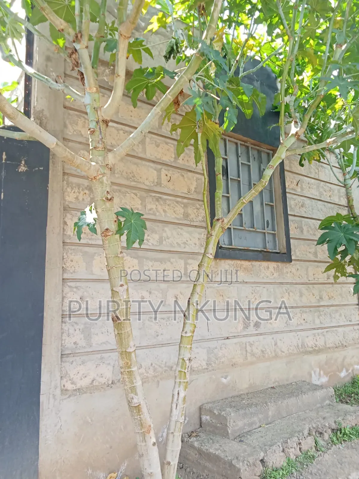 3bdrm House in Maryland, Naivasha for sale