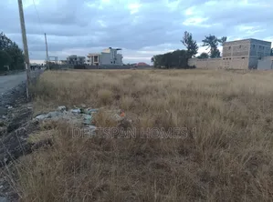 50 by 100 Plot Selling at Mutalia