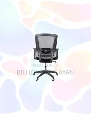 Practical Barn Origin Chair Mid Back Nylon for Flexible Desk Setups