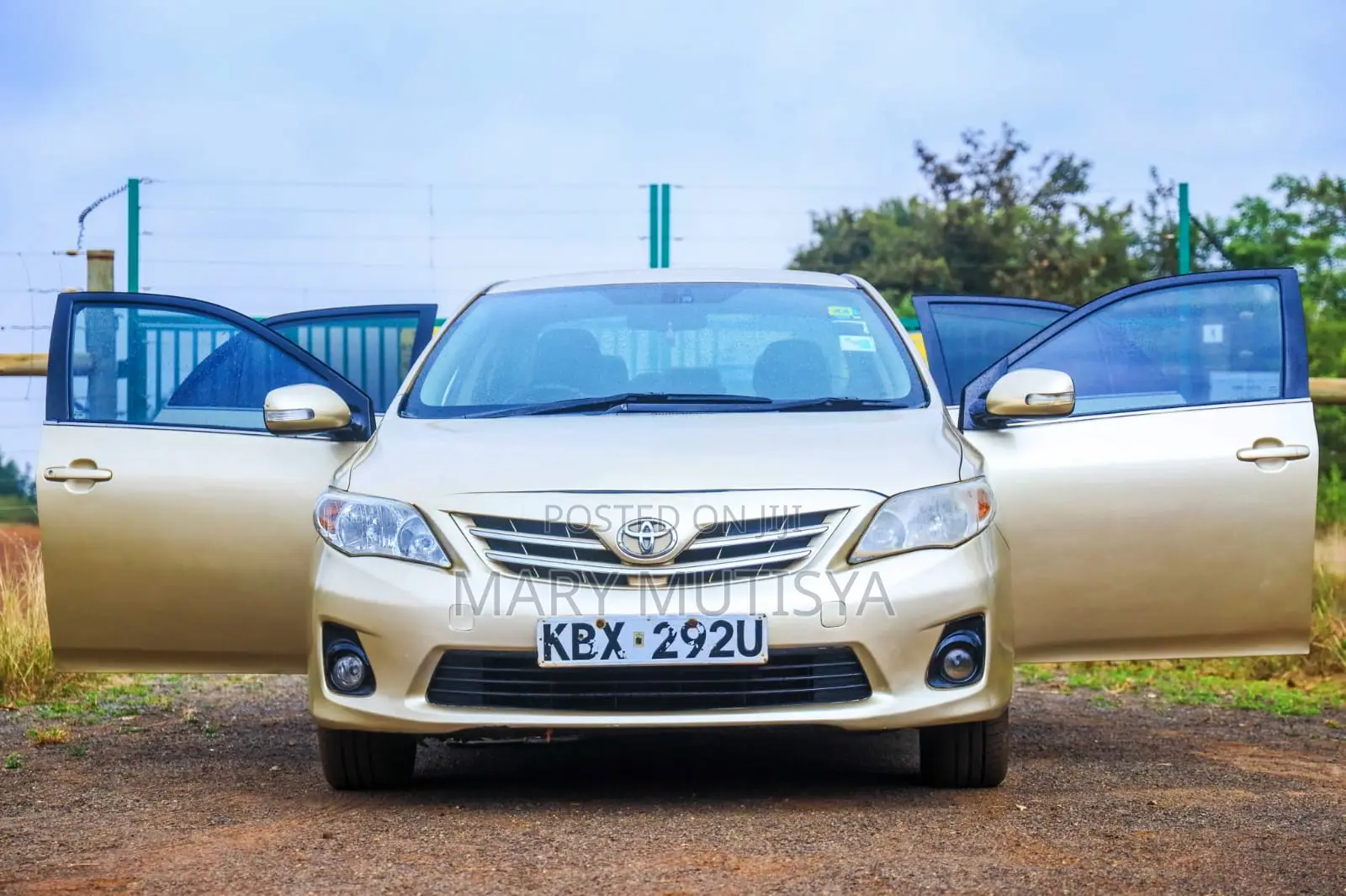 Toyota Corolla 2013 Beige
