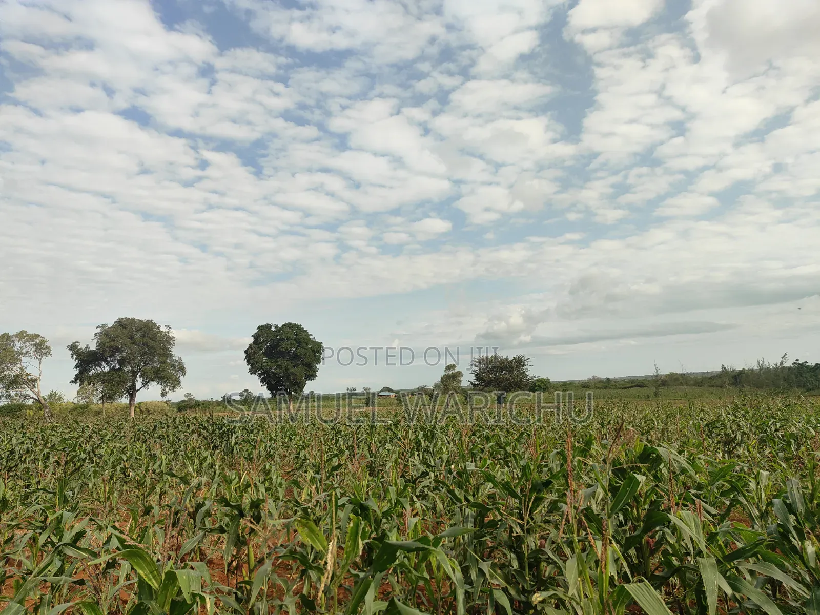 1 ACRE Prime Affordable Land Marereni Malindi