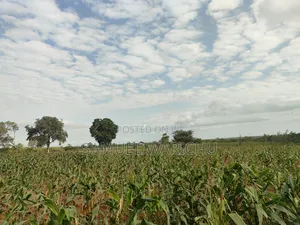 1 ACRE Prime Affordable Land Marereni Malindi