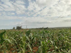 1 ACRE Prime Affordable Land Marereni Malindi