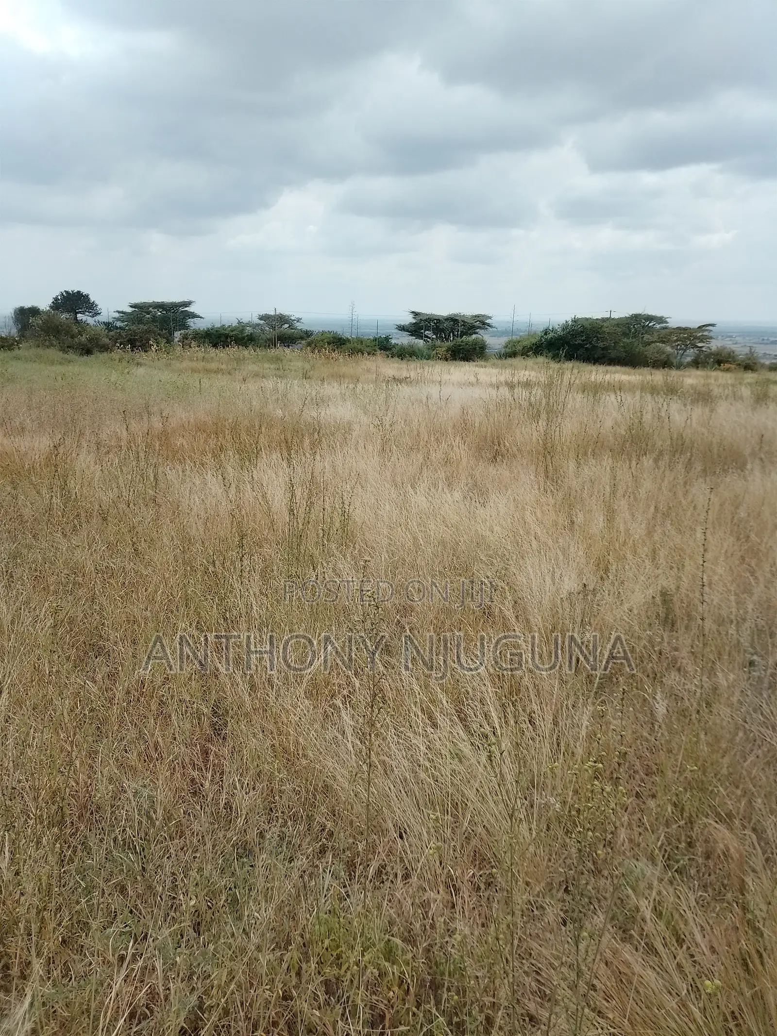 Malaa Plots, Ready For Settlement.