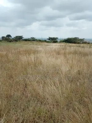 Malaa Plots, Ready For Settlement.