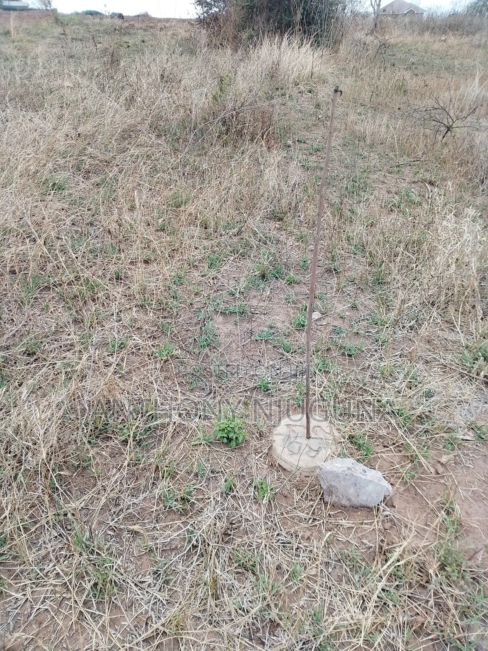 Malaa Plots, Ready For Settlement.