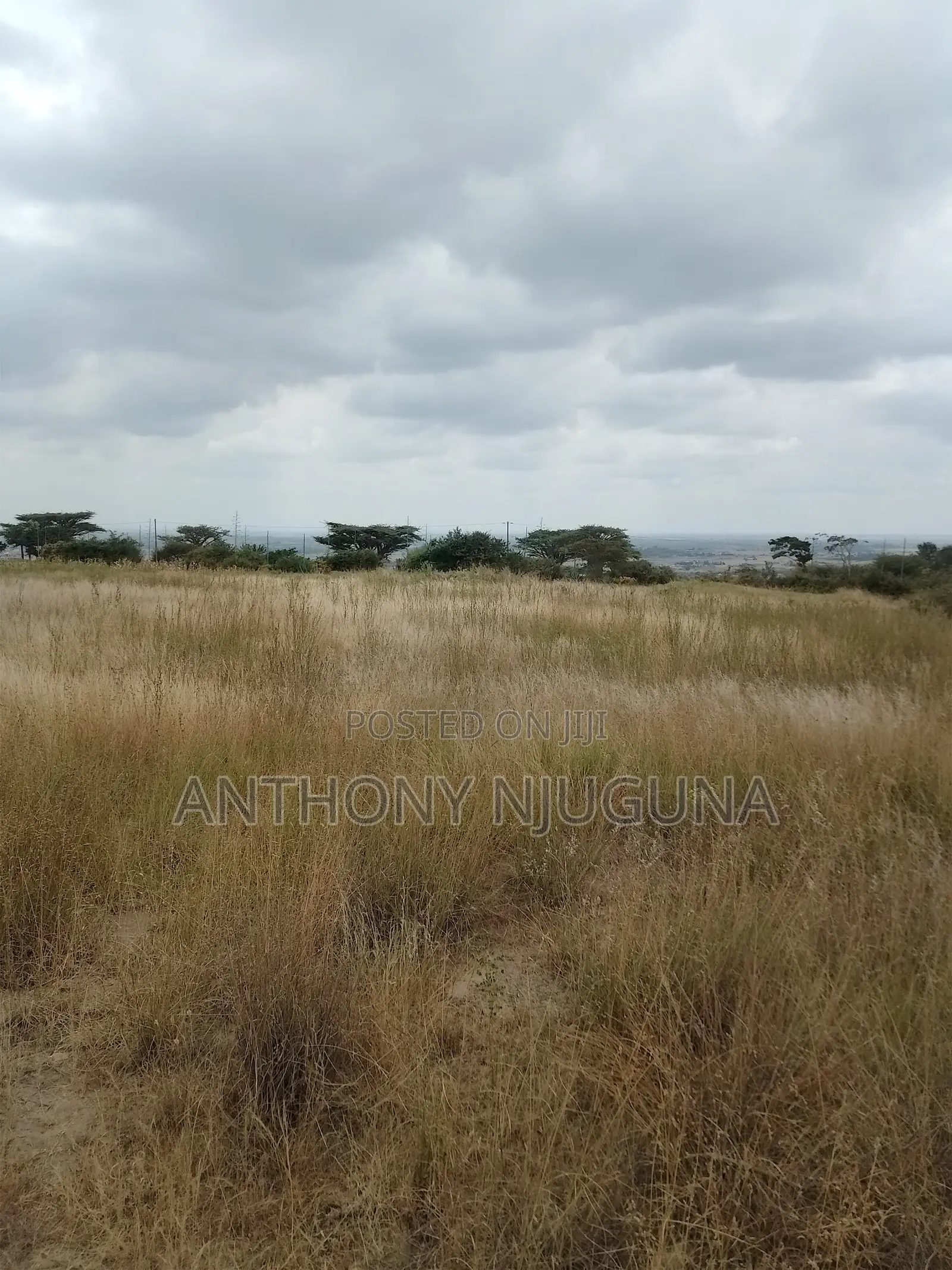 Malaa Plots, Ready For Settlement.