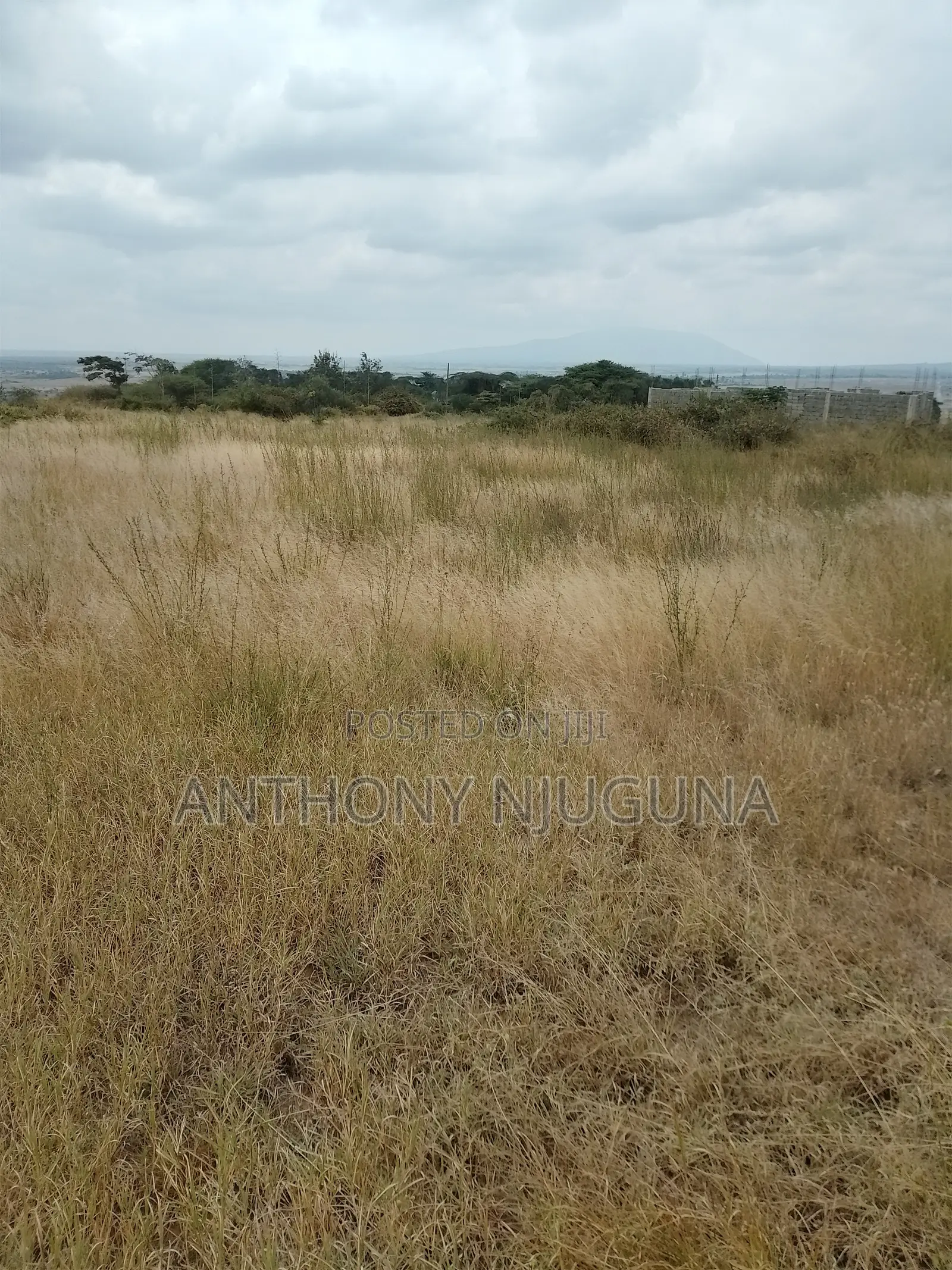 Malaa Plots, Ready For Settlement.