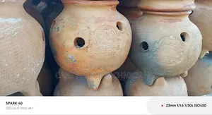 Chicken Brooders