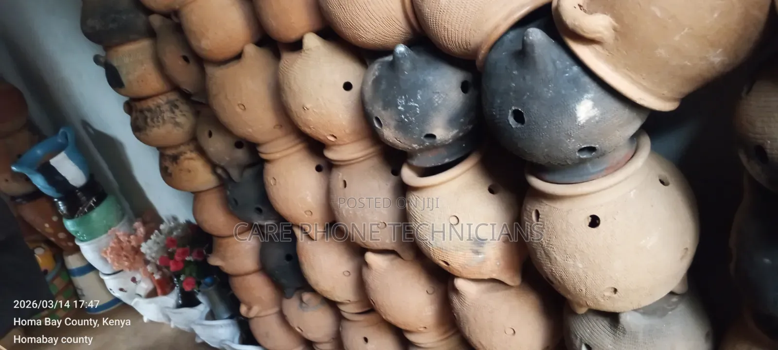 Chicken Brooders