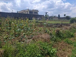 1/2 Acre Land for Sale at Mercy Njeri Kiamunyi
