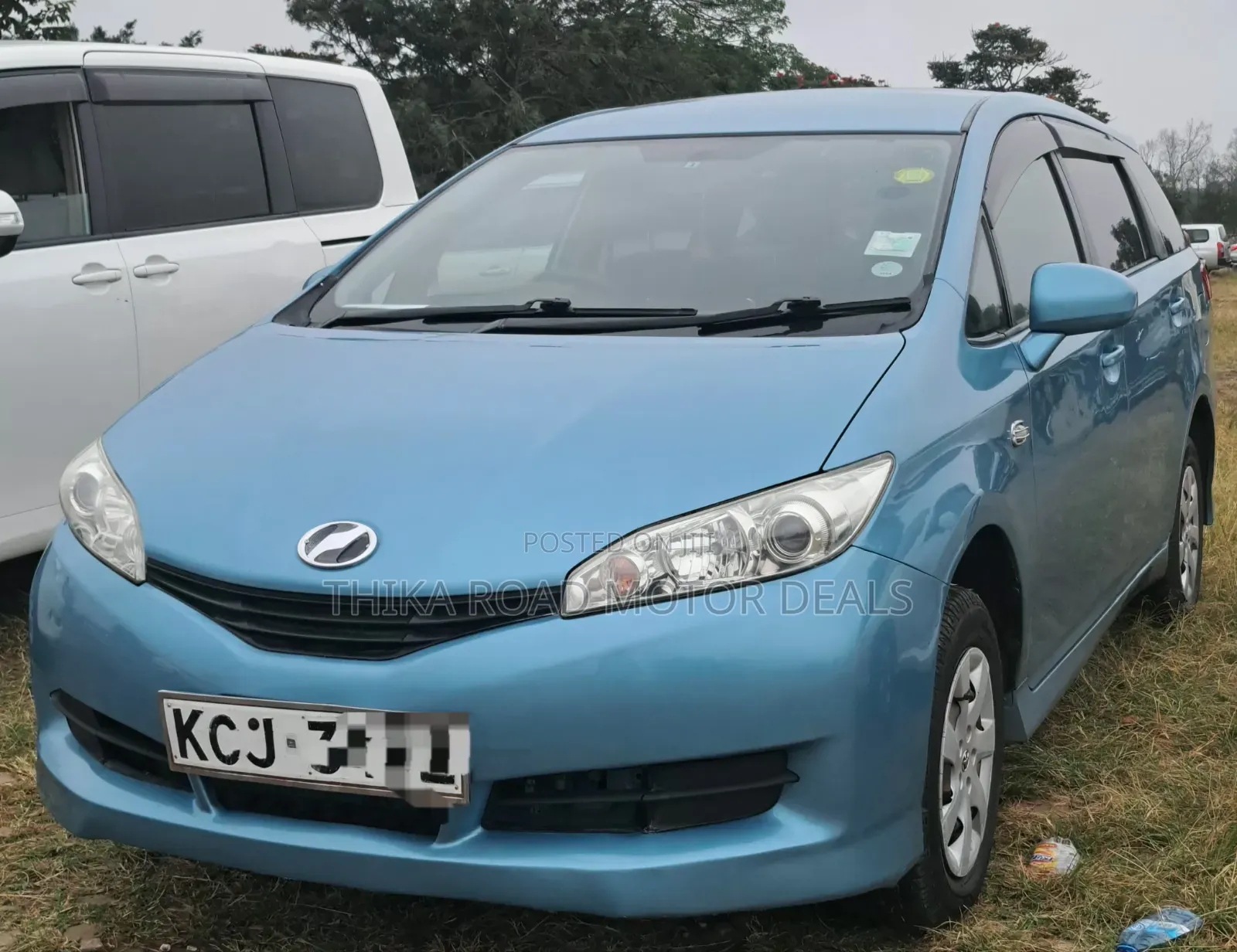 Toyota Wish 2010 Blue