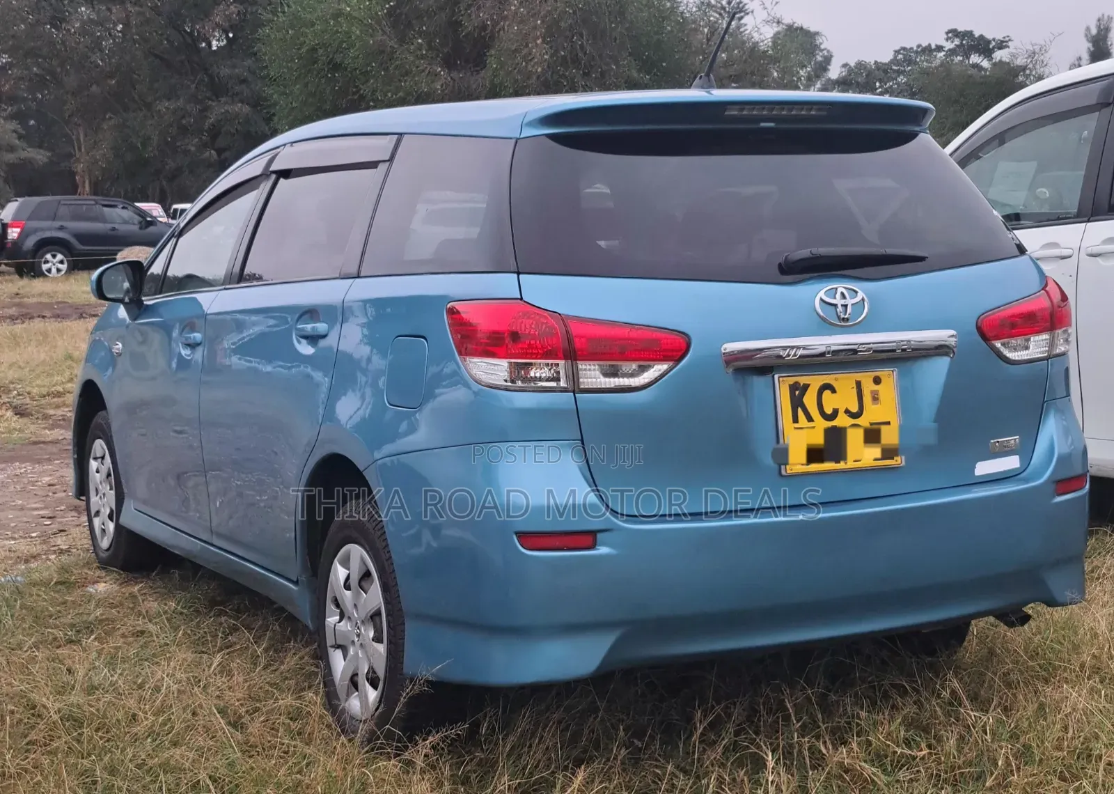 Toyota Wish 2010 Blue
