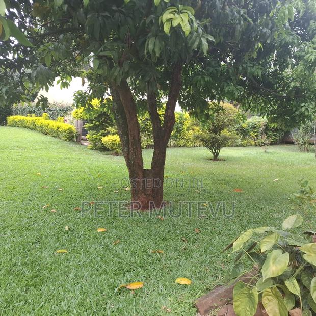6bdrm House in Hardy for sale - thumbnail 4