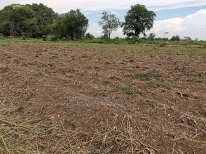 50*100 Land for Sell (Gachuhi_lare)