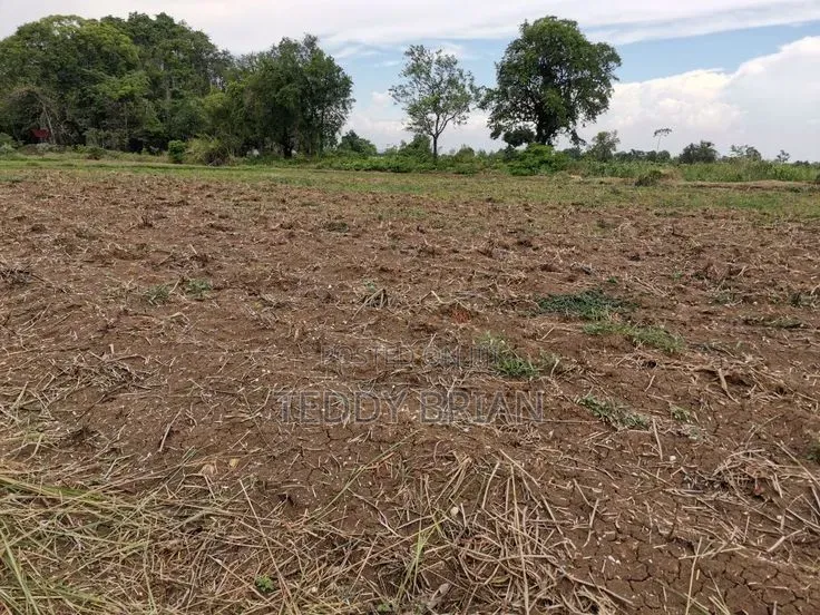 50*100 Land for Sell (Gachuhi_lare)