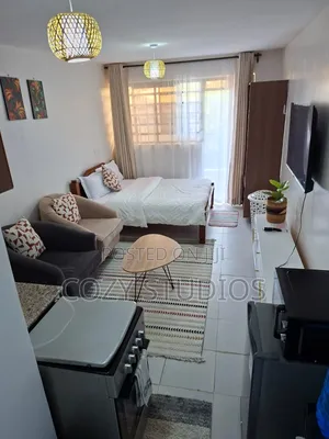 Affordable Studio BNB in Kasarani Seasons