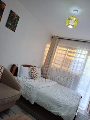 Affordable Studio BNB in Kasarani Seasons