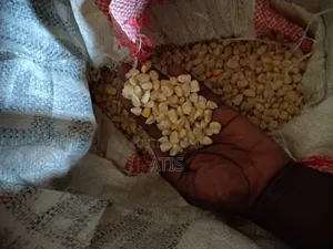 Clean and Pure Maize