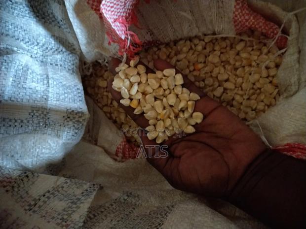 Clean and Pure Maize