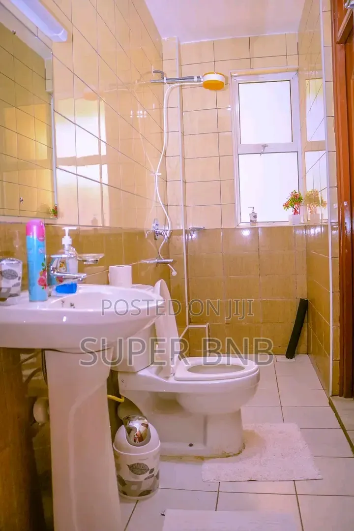 Three Bedroom Airbnb in Nanyuki Is Furnished