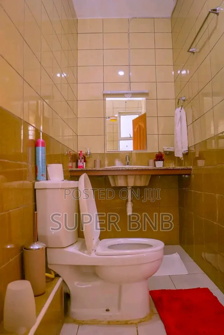 Three Bedroom Airbnb in Nanyuki Is Furnished
