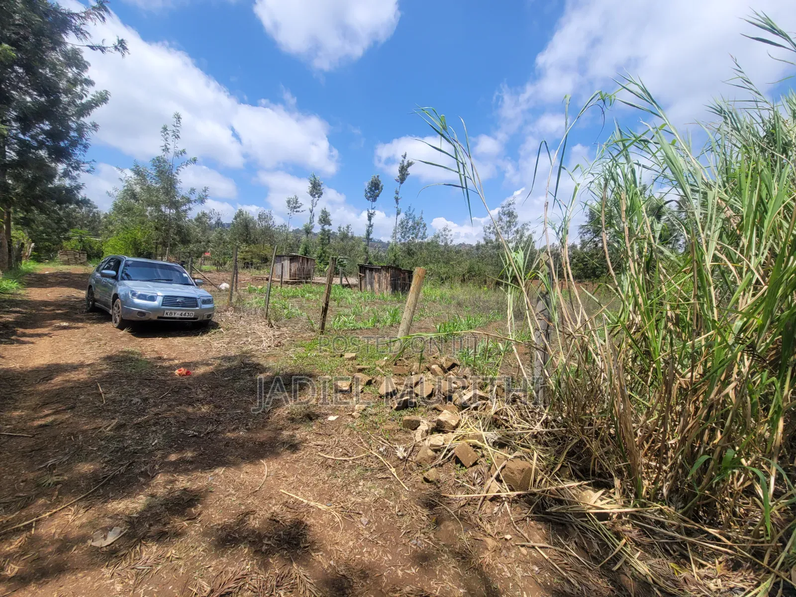 Prime Land - 1⁄8 Acre for Sale