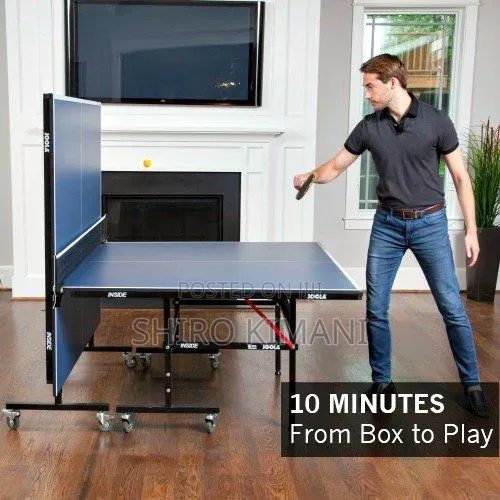 Commercial Table Tennis