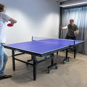 Indoor Table Tennis