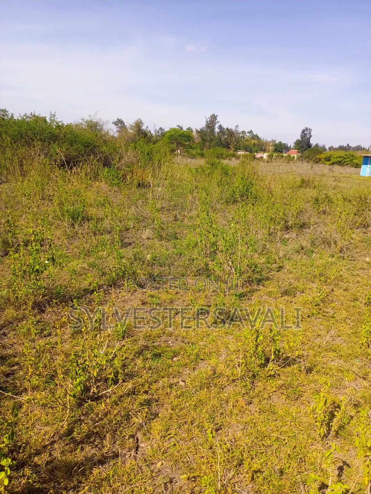 Kiambu, Turitu 4acres