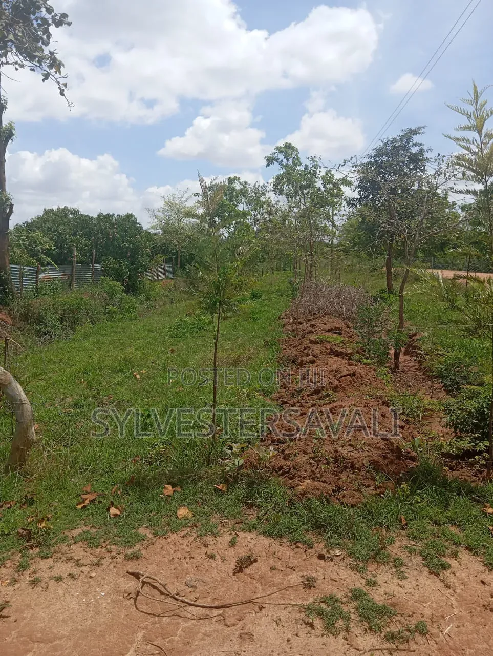 Kiambu, Turitu 4acres