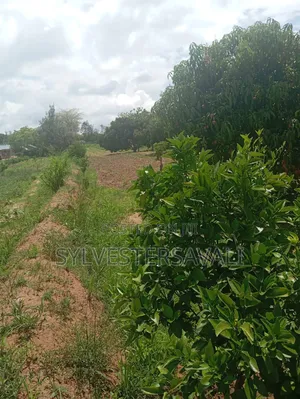 Kiambu, Turitu 4acres