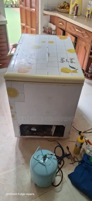 Freezer Repair