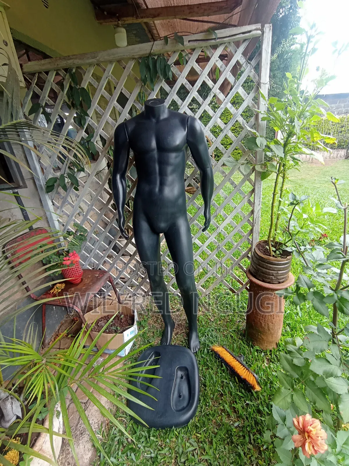 Male Mannequin