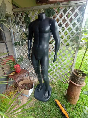 Male Mannequin
